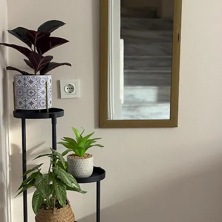 House Apartment *