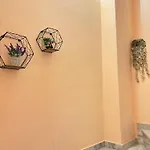 House *